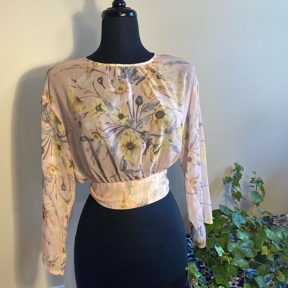 Floral Tie Back Blouse Long Sleeve Sheer Crop Top Boho Cottagecore Size 4